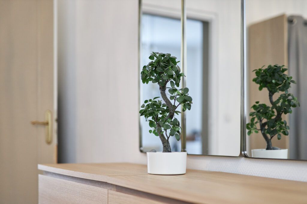 Photographie 18 du reportage d’un appartement Airbnb à Reims